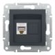 Розетка комп'ютерна, RJ45, кат.5е, UTP, Антрацит, Asfora, EPH4300171