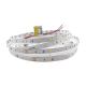 Світлодіодна стрічка RISHANG 24V 4.8W 5000K 64led IP20 ( бухта 5м )
